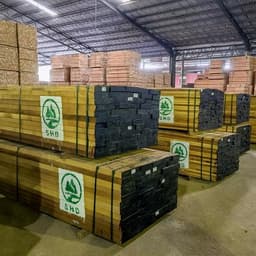 HONG KONG SENHEDA WOOD LIMITED