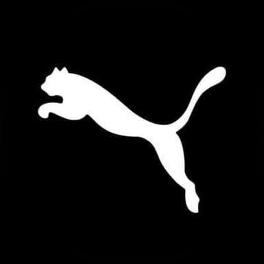 company image